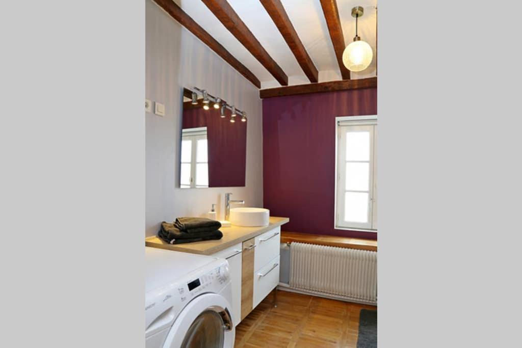 Superbe Appartement Proche Disney Meaux Eksteriør billede